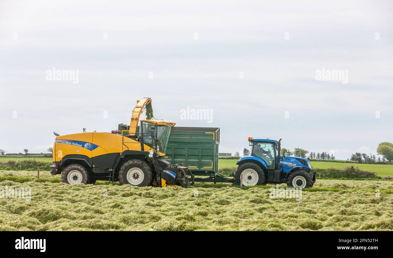 Riverstick, Cork, Irlanda. 14 maggio 2021. Norman Draper raccogliere l'erba per insilato di buca nella sua fattoria fuori Riverstick, Co. Cork, Irlanda. - credito; David Creedon / Alamy Live News Foto Stock