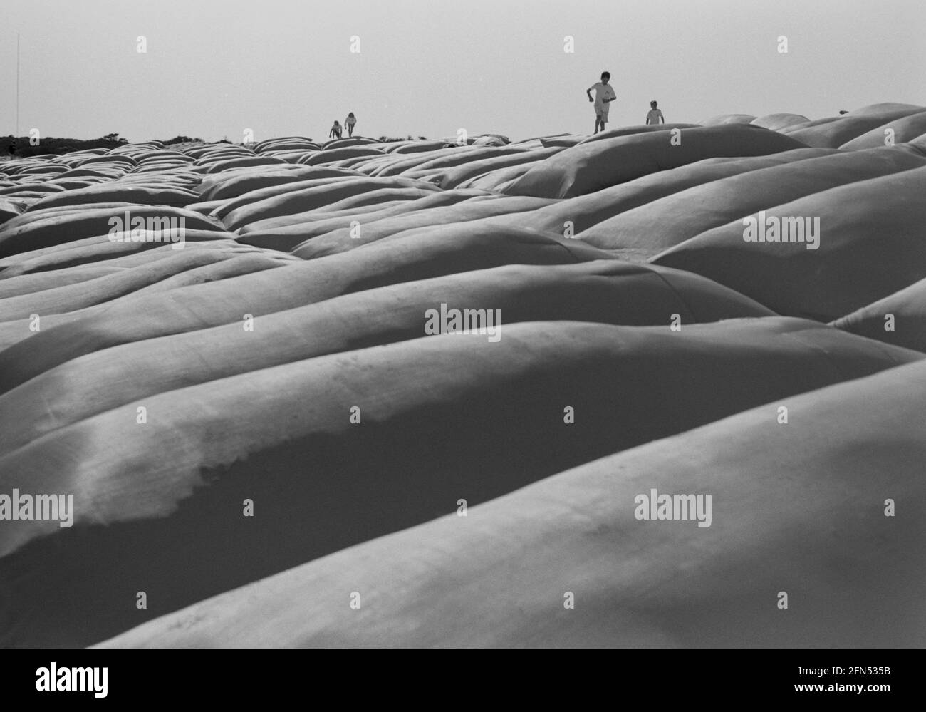 Enormi sacchi di sabbia che proteggono Cape Hatteras Lighthouse Before Relocation, Buxton, NC, dicembre 1992. Parte di una serie di 35 fari della costa orientale americana fotografati tra novembre 1992 e settembre 1993. Foto Stock