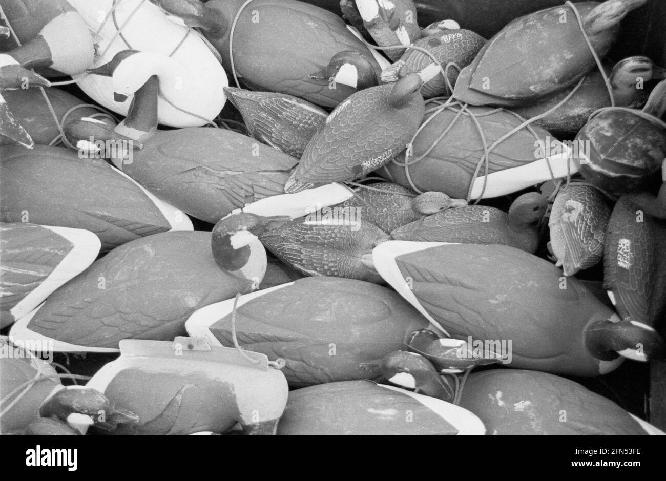 Decoy di caccia all'anatra. Parte di una serie di 35 fari della costa orientale americana fotografati tra novembre 1992 e settembre 1993. Foto Stock