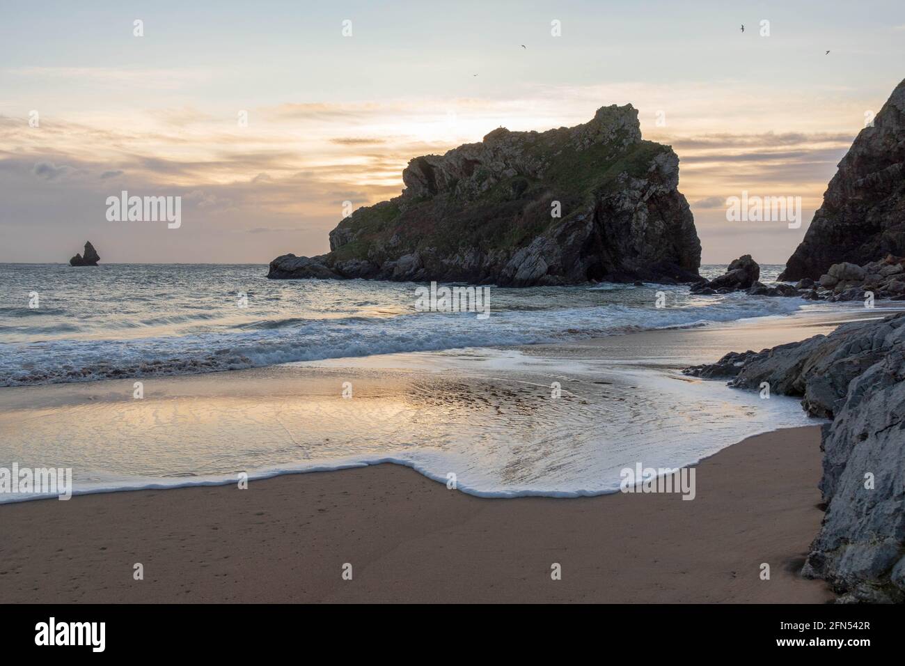 Sentiero costiero del Pembrokshire Foto Stock