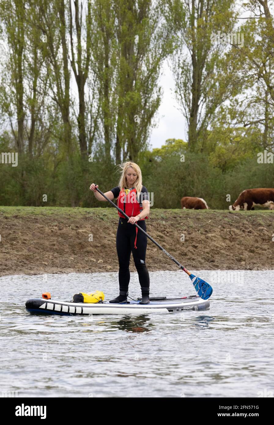 Paddle boarder UK; una donna pagaia boarder, paddle boarding sul fiume Tamigi a Wallingford Oxfordshire UK Foto Stock