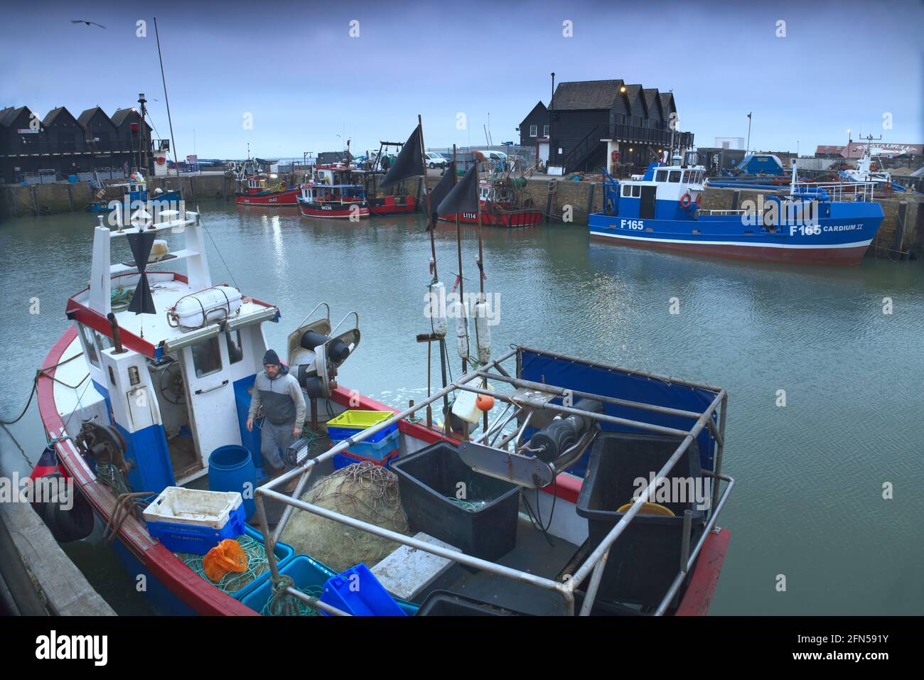 Whitstable Harbour, Kent, Inghilterra, UK a daybreak - pescatore che prepara la sua barca per navigare e catturare i whelks e altri molluschi Foto Stock