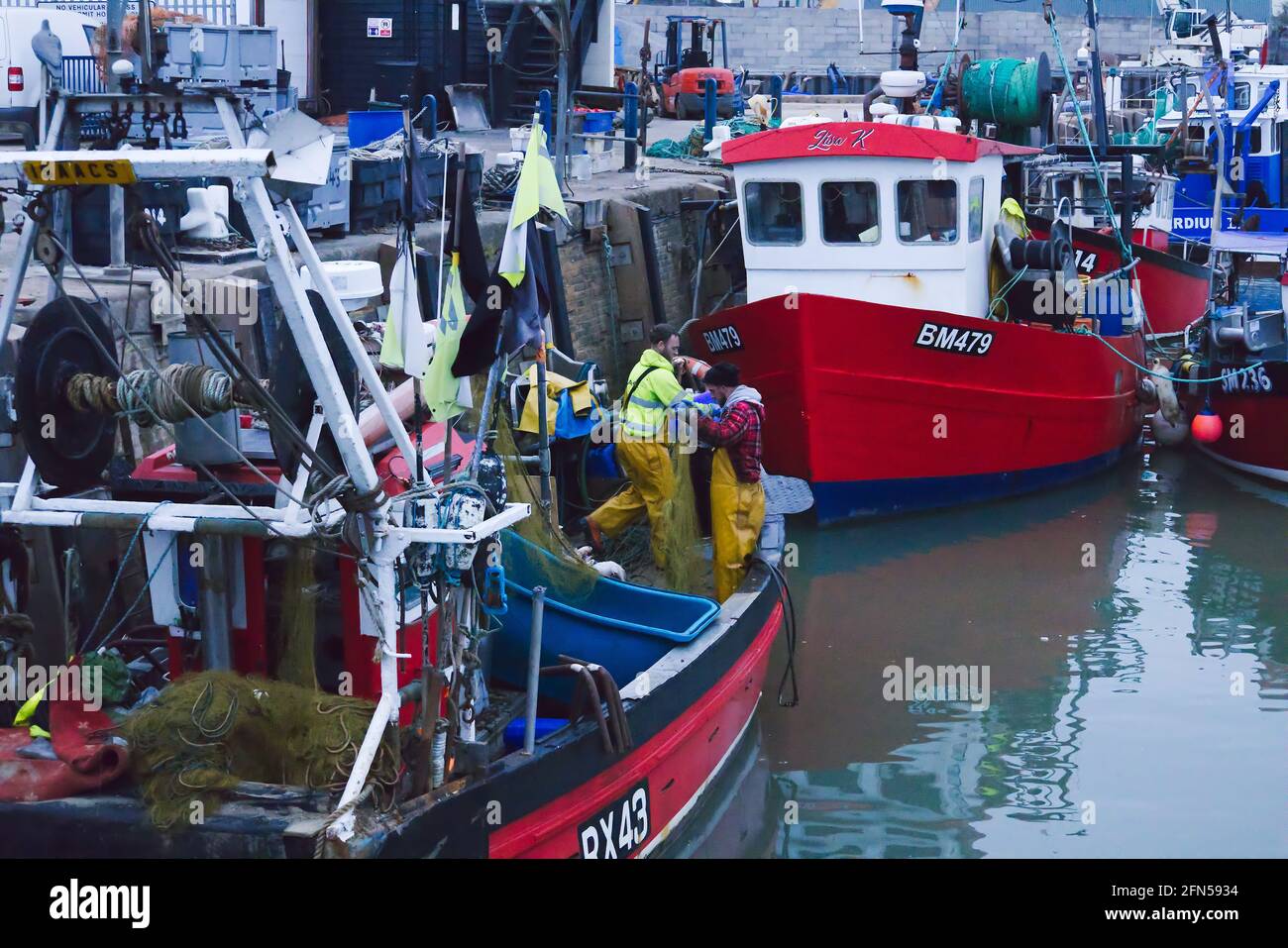 Whitstable Harbour, Kent, Inghilterra, UK - pescatori sulla loro barca da pesca che lavorano pesce appena pescato Foto Stock