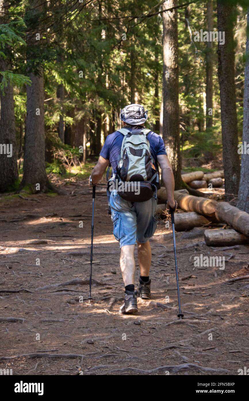 uomo che cammina nel bosco con bastoni da trekking, stivali da trekking e  zaino; concetto di stile di vita sano alpino Foto stock - Alamy