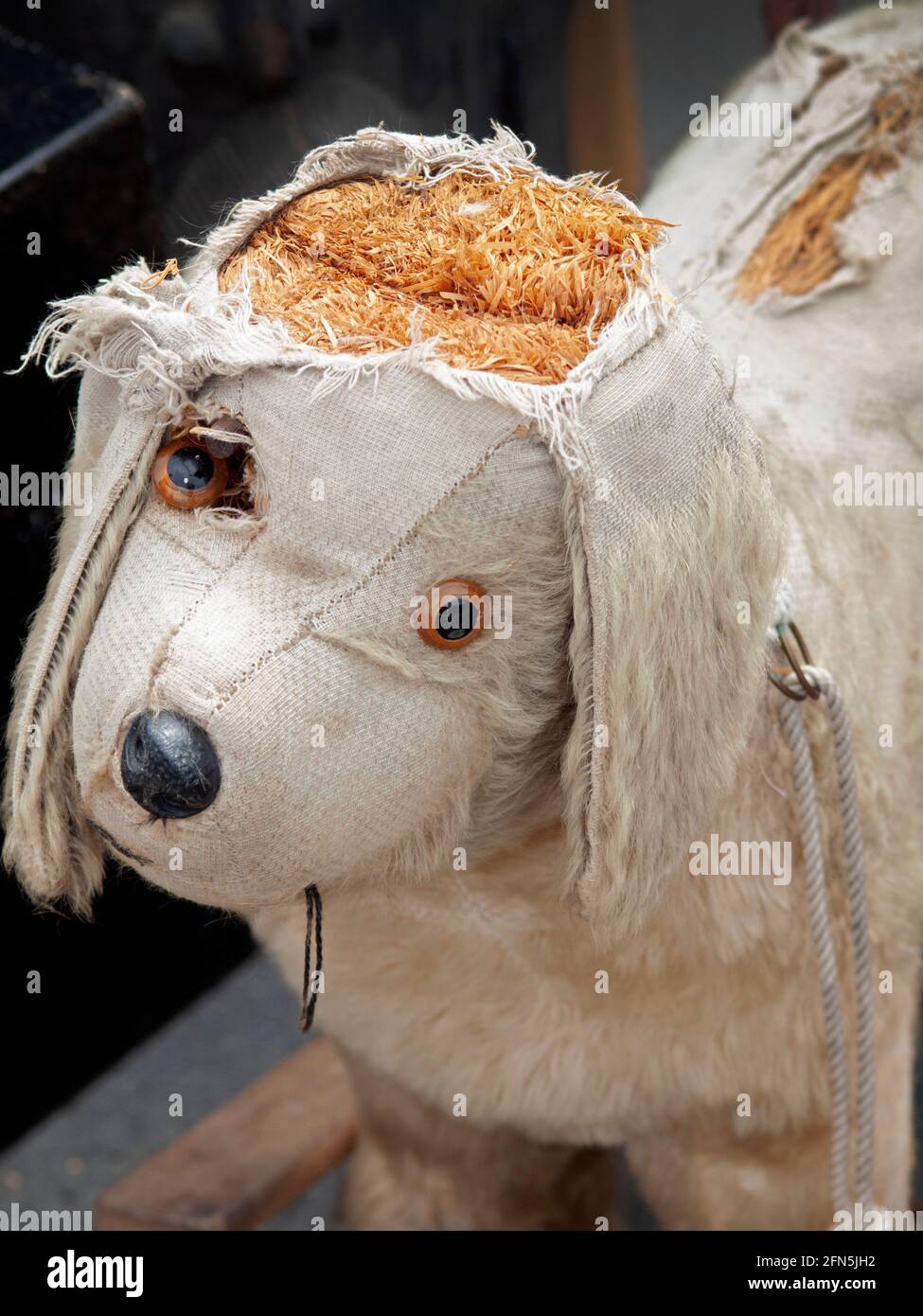 Un cane giocattolo per bambini al Brighton Marina Giant Boot Fair, Inghilterra Foto Stock