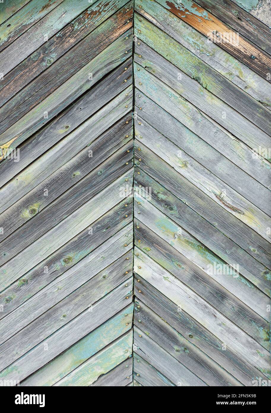 struttura in legno asse herringbone sfondo verde grigio argento colore closeup Foto Stock