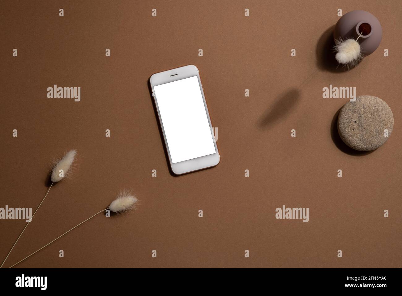 Telefono cellulare con schermo bianco e diramazione di fiori bianchi asciutti su sfondo marrone con ombre scure. Tendenza, concetto minimo con copyspace Foto Stock