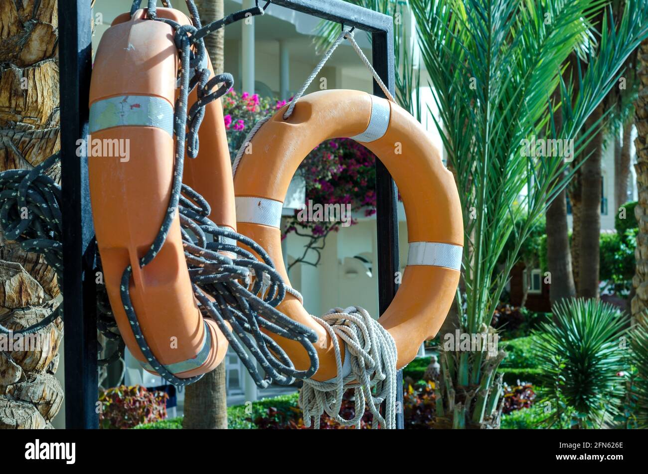 Bagnini tra palme a Hurghada Marina in Egitto Foto Stock