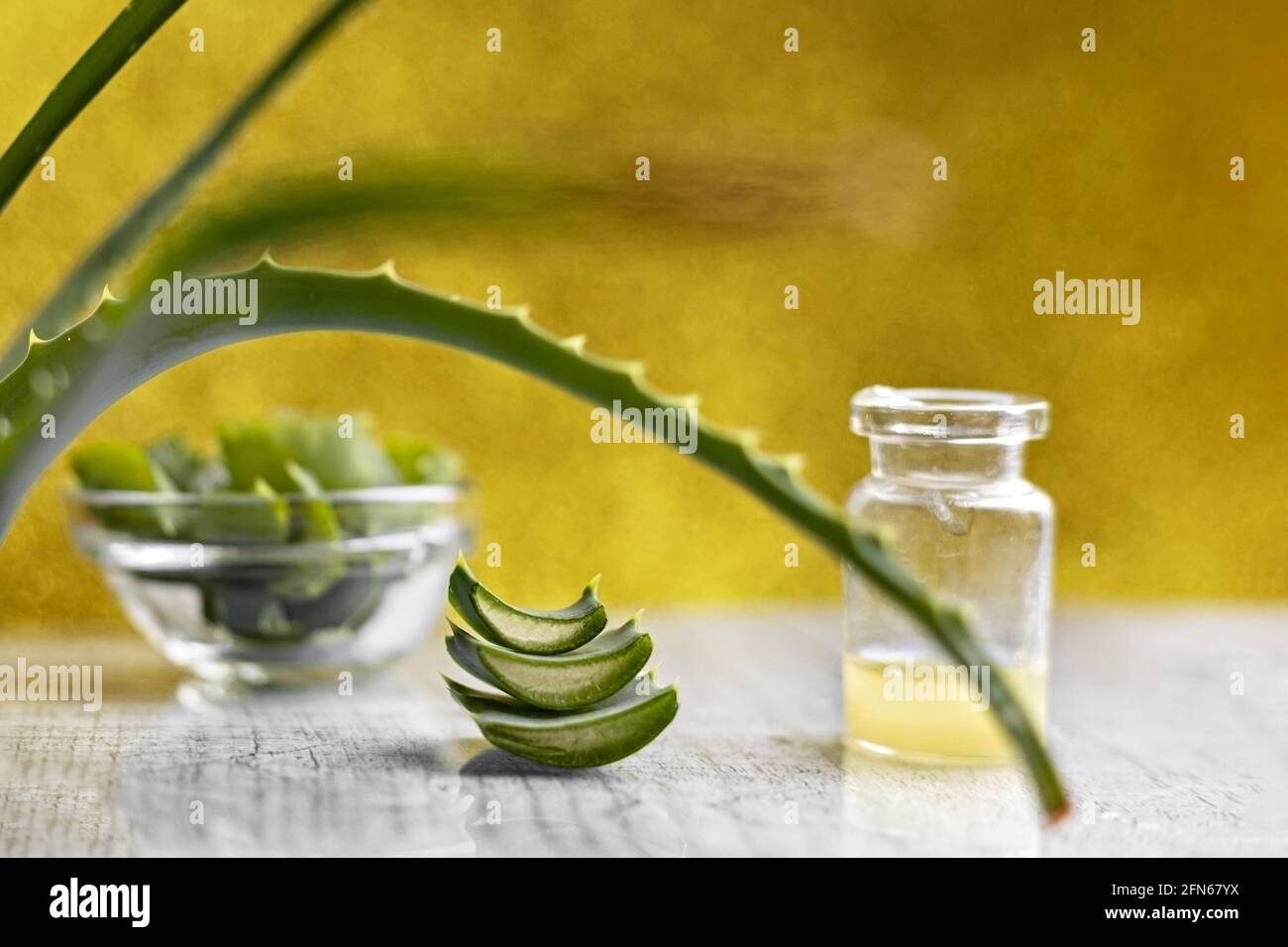 Pezzi di pianta di aloe con gel all'interno in una ciotola di vetro primo piano. Medicina alternativa. Raccolta di succo di aloe, per il trattamento di malattie della pelle Foto Stock