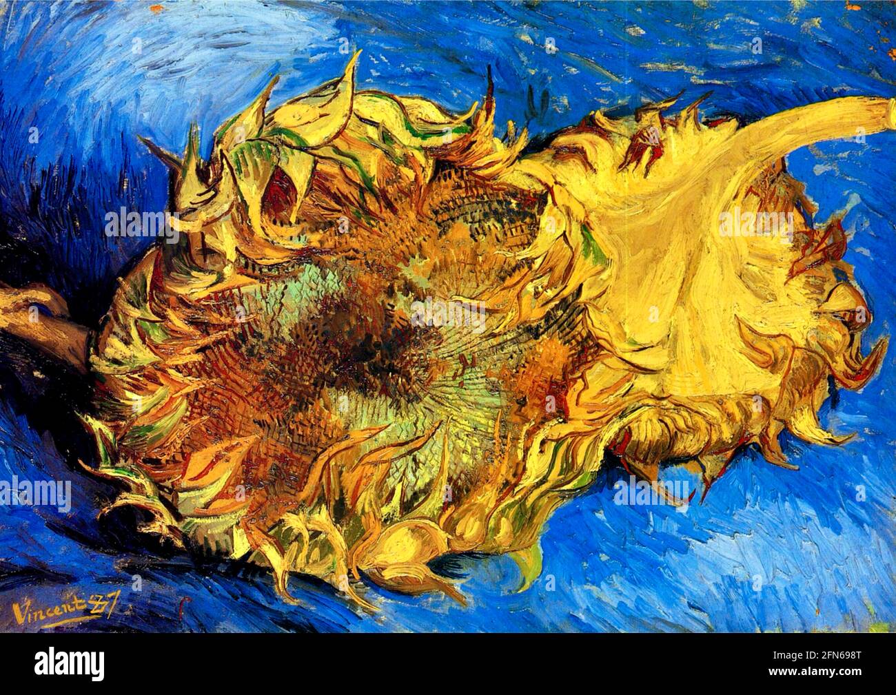 I Girasoli Di Van Gogh Immagini Quadri girasoli vincent van gogh immagini e fotografie stock ad alta