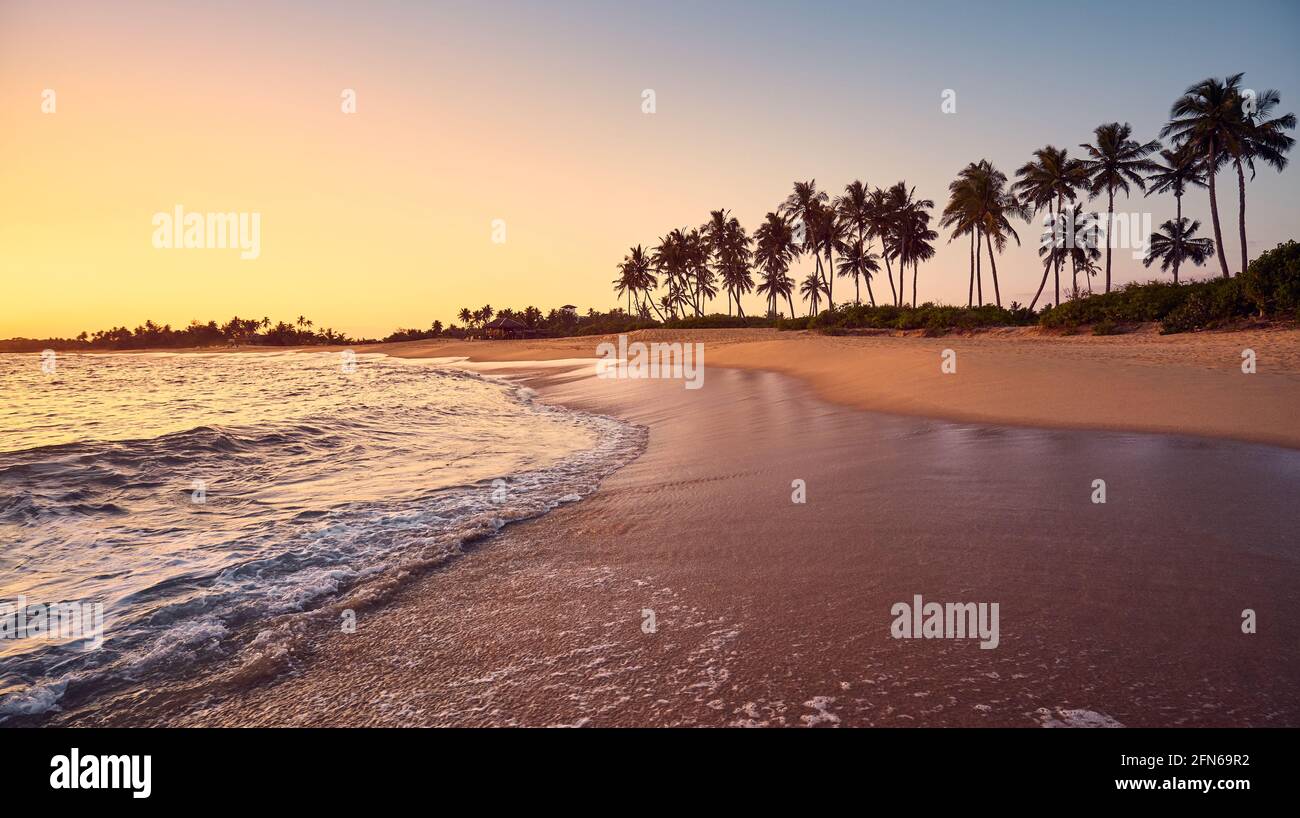 Vista panoramica di una spiaggia tropicale al tramonto. Foto Stock