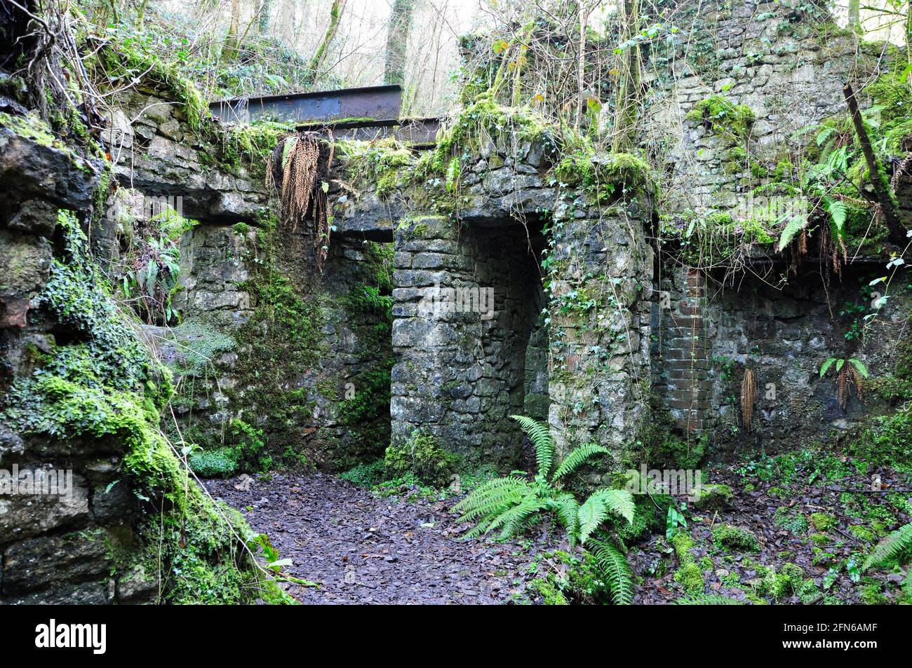 Old Iron Works, Mells, Fussells 'Lower Works.This è un sito biologico di interesse scientifico speciale, nella valle di Wadbury ed è un sitefo di riproduzione Foto Stock