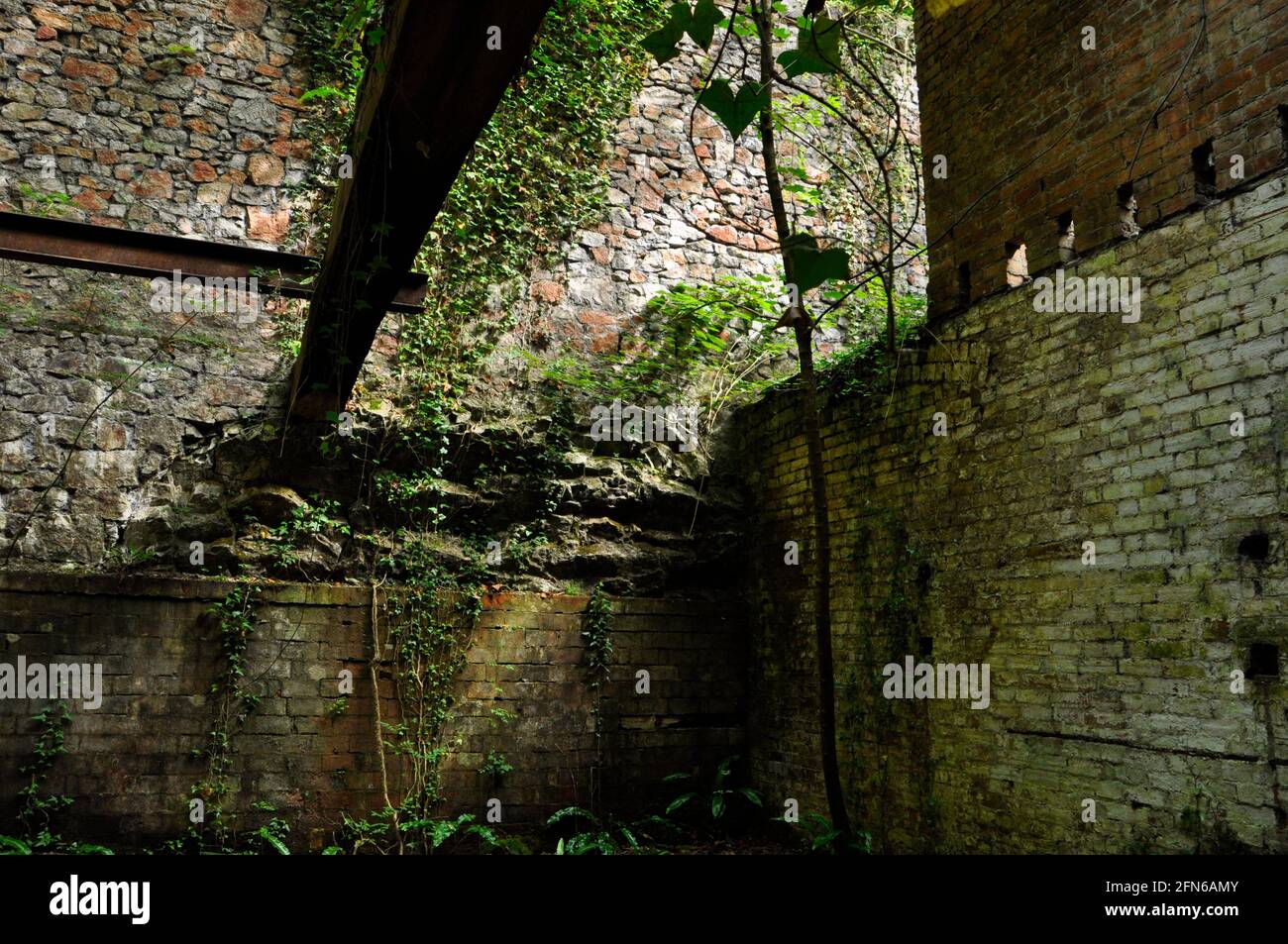 La trave di ferro in un edificio presso la Old Iron Works, Mells, Fussells 'Lower Works.This è un sito biologico di interesse scientifico speciale, nel Wadbur Foto Stock