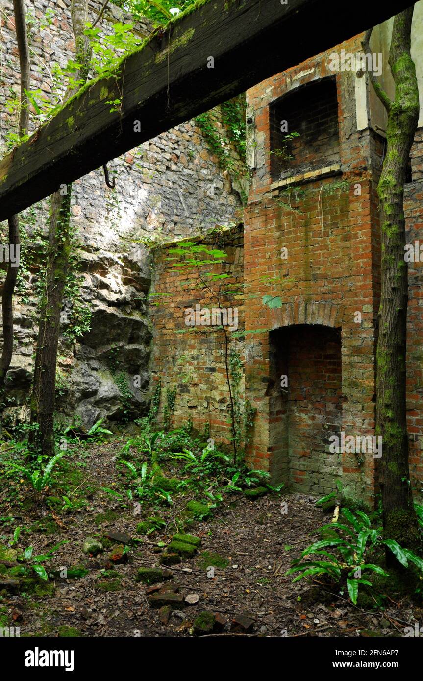 Luoghi di fuoco all'interno di un edificio a Old Iron Works, Mells, Fussells 'Lower Works.This è un sito biologico di interesse scientifico speciale, nel Wa Foto Stock
