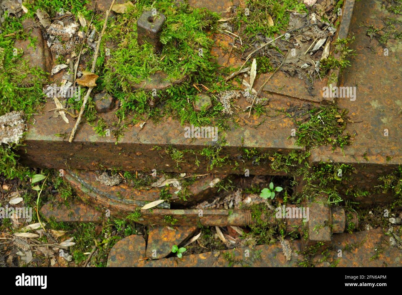 Muschio e la ruggine macchina coperta a Old Iron Works, Mells, Fussells 'Lower Works.This è un sito biologico di interesse scientifico speciale, nel Wa Foto Stock