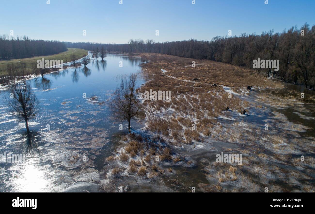 Paesaggio invernale di fiume nella foresta di pianure sparare da drone Foto Stock