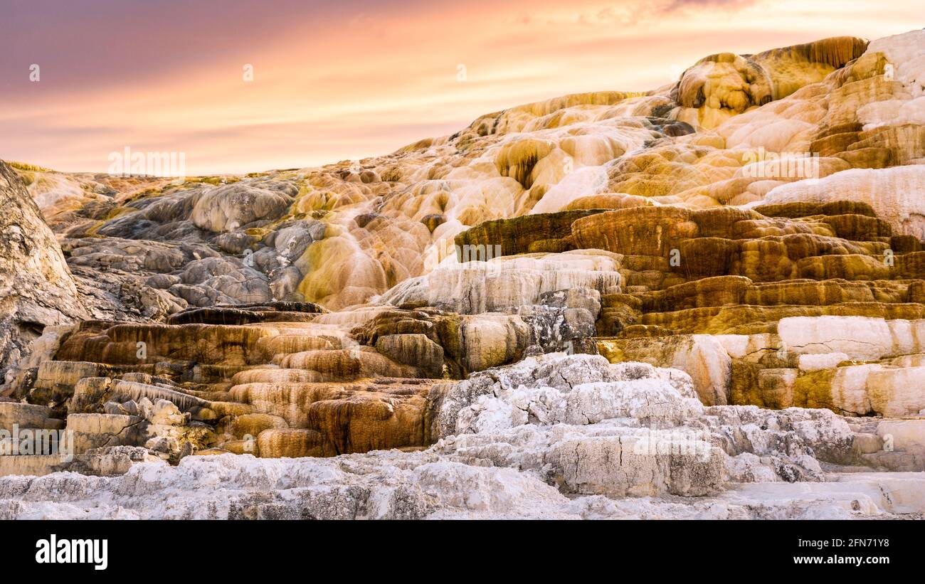 Mammoth Hot Springs nel Parco Nazionale di Yellowstone, Wyoming Foto Stock