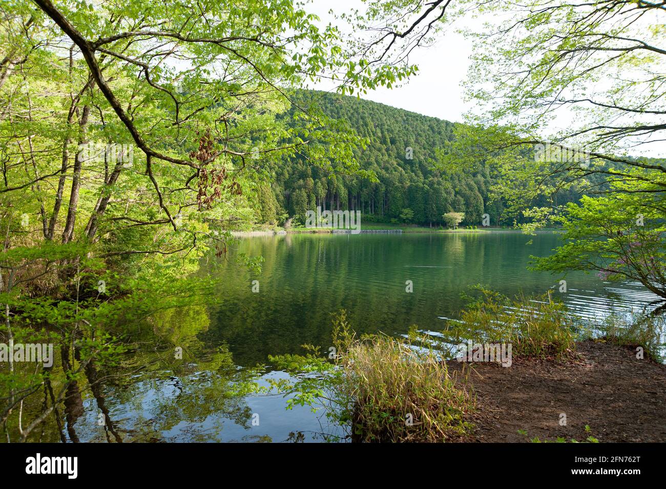 Lago Tanuki nella città di Fujinomya, Giappone. Parco Nazionale Fuji-Hakone-Izu. Foto Stock