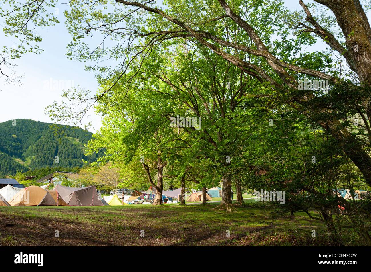 Tende da campeggio nel Parco Nazionale di Fuji-Hakone-Izu. Campeggio Lago Tanuki a Fujinomiya City, Prefettura di Shizuoka, Giappone. Foto Stock