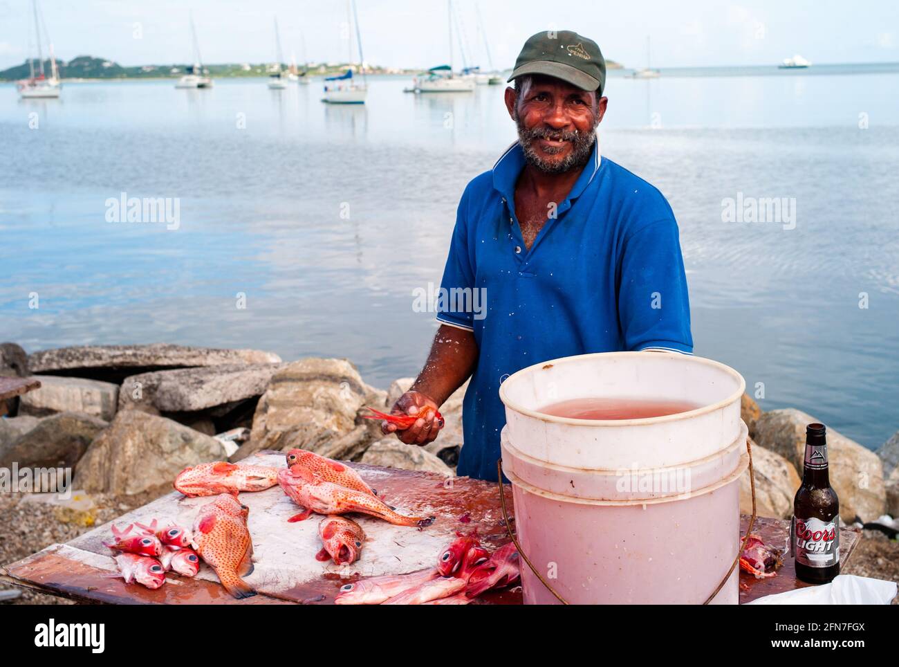 Marigot, Saint Martin - Luglio 13 2013: Pesce monger o pulitore di pesce al mercato locale preparazione Red Hind Grouper. Foto Stock