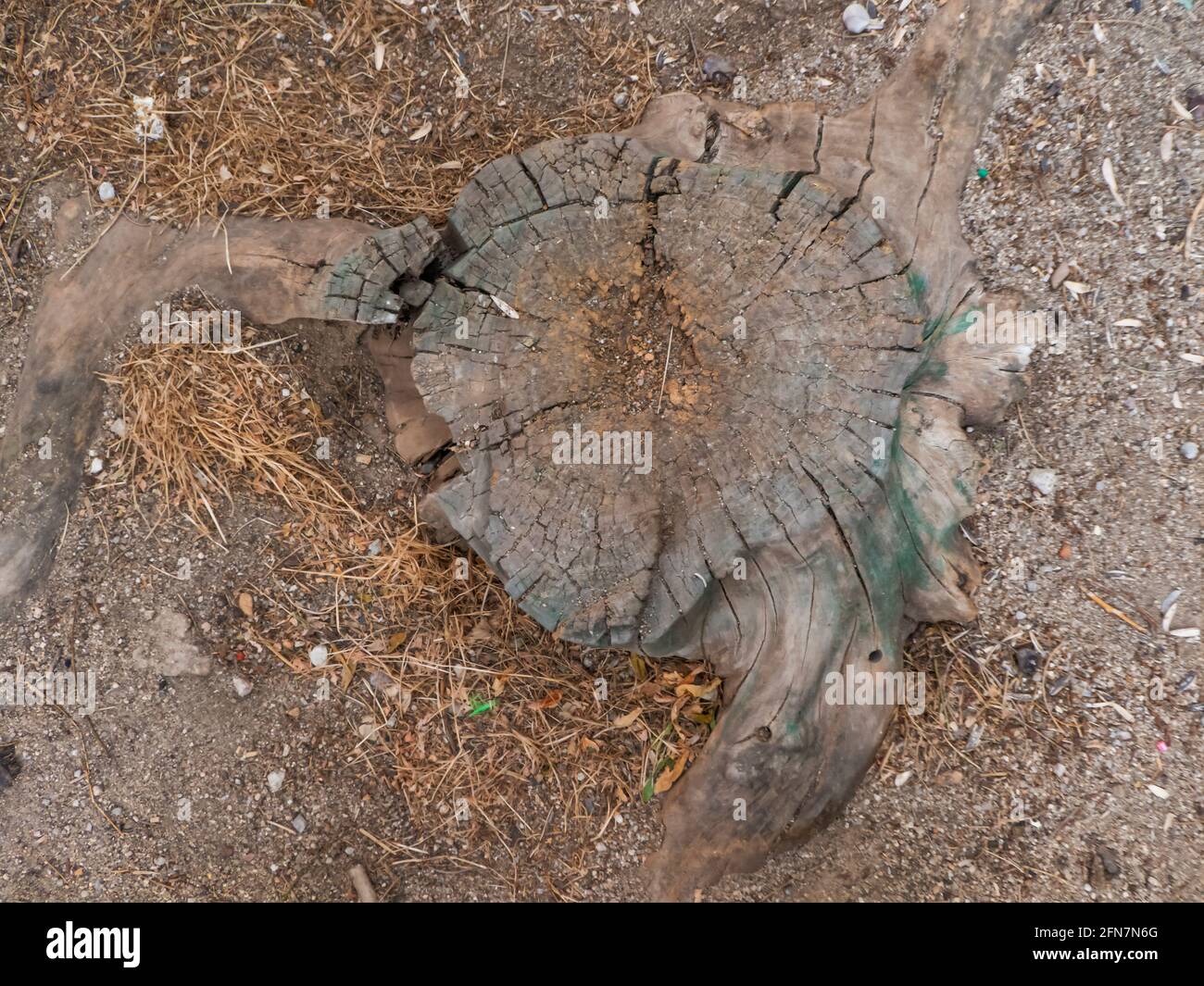 Pietra di legno circondata da ramoscelli e sabbia in città Foto Stock Pietra di legno circondata da ramoscelli e sabbia in città Foto Stock
