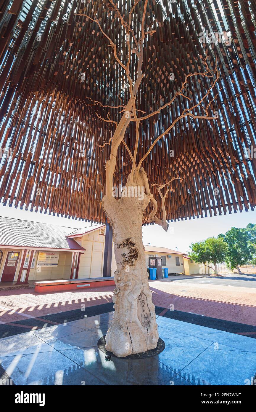 Vista verticale dell'albero della conoscenza sotto il quale il Partito laburista Australiano fu formato durante lo Sciopero dei Shearers' Strike del 1891, Barcaldine, Queens Foto Stock