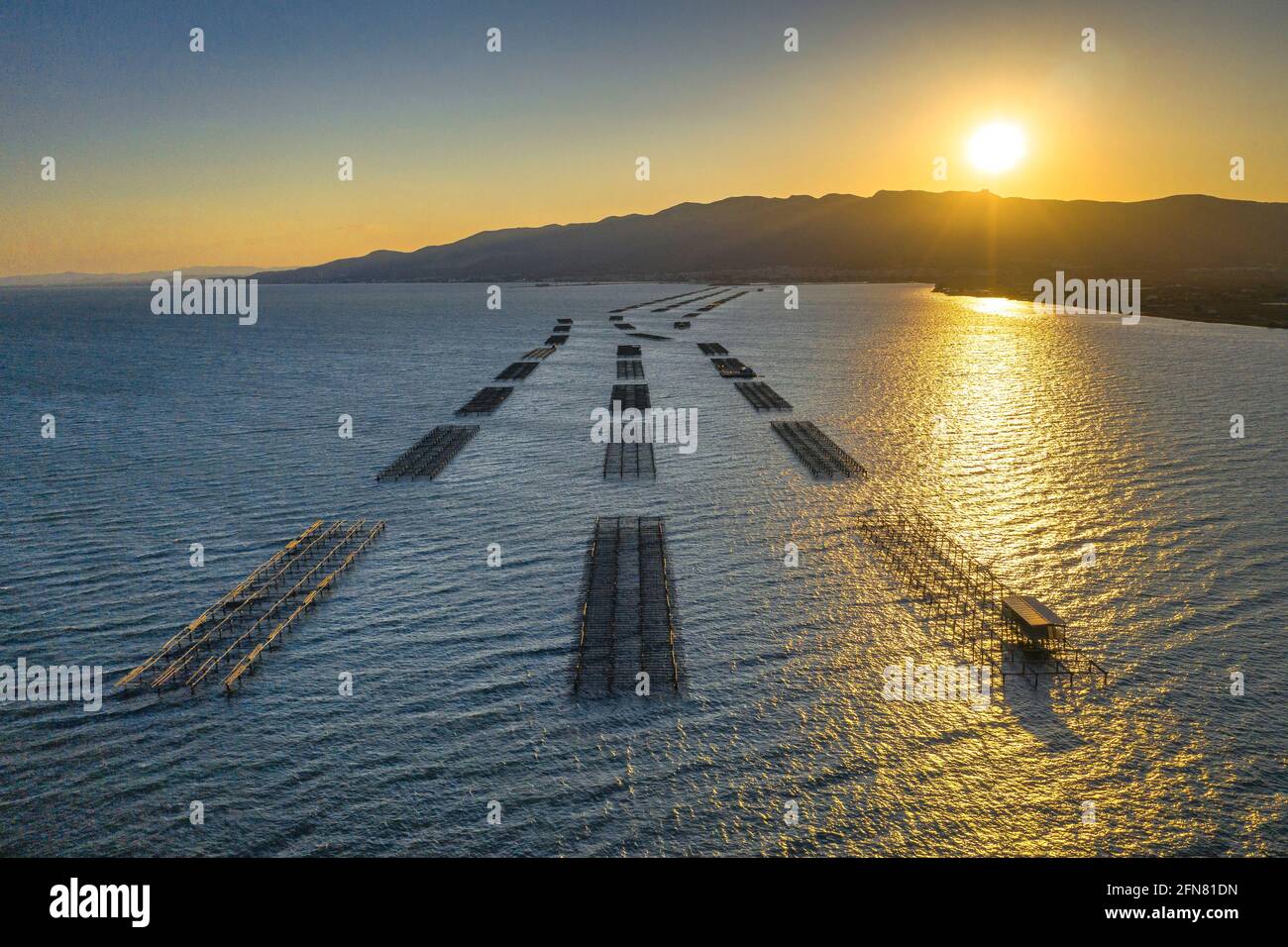 Vista aerea delle fattorie di mitili nella baia di Alfacs (Badia dels Alfacs) al tramonto, nel delta dell'Ebro (provincia di Tarragona, Catalogna, Spagna) Foto Stock