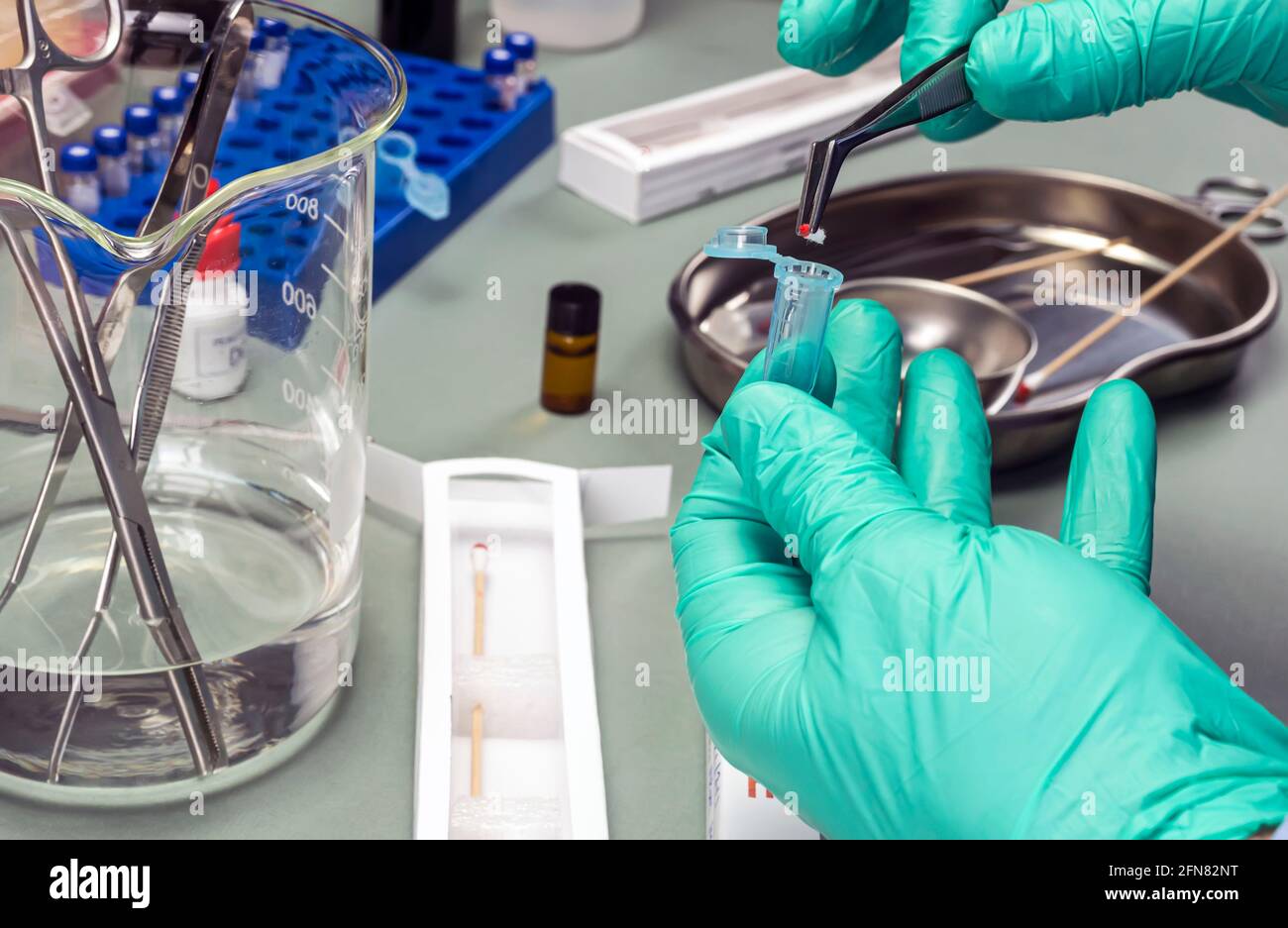 Esperto di polizia Estrae tracce di sangue in un tampone per analisi in laboratorio di uno scienziato Foto Stock