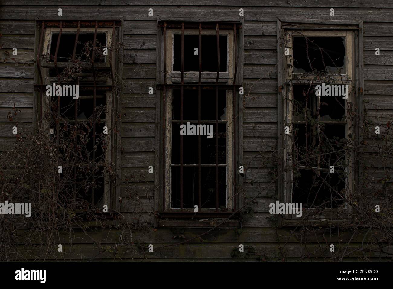 Cabina nella boccola Foto Stock