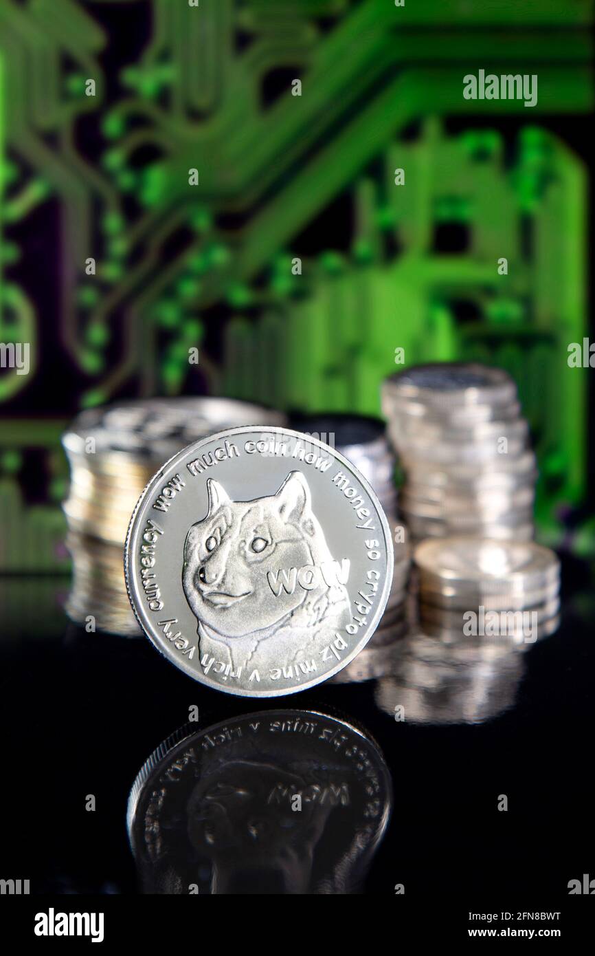 Gettone di criptovaluta Dogecoin DOGE contro pile di monete e. schema della scheda a circuito stampato Foto Stock