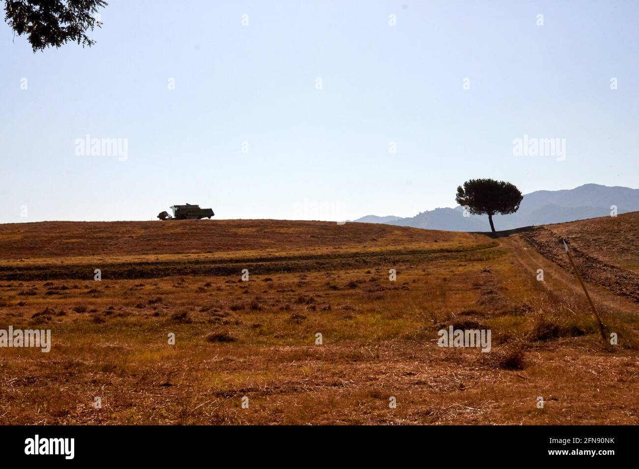 Da qualche parte nella campagna laziale, Italia Foto Stock