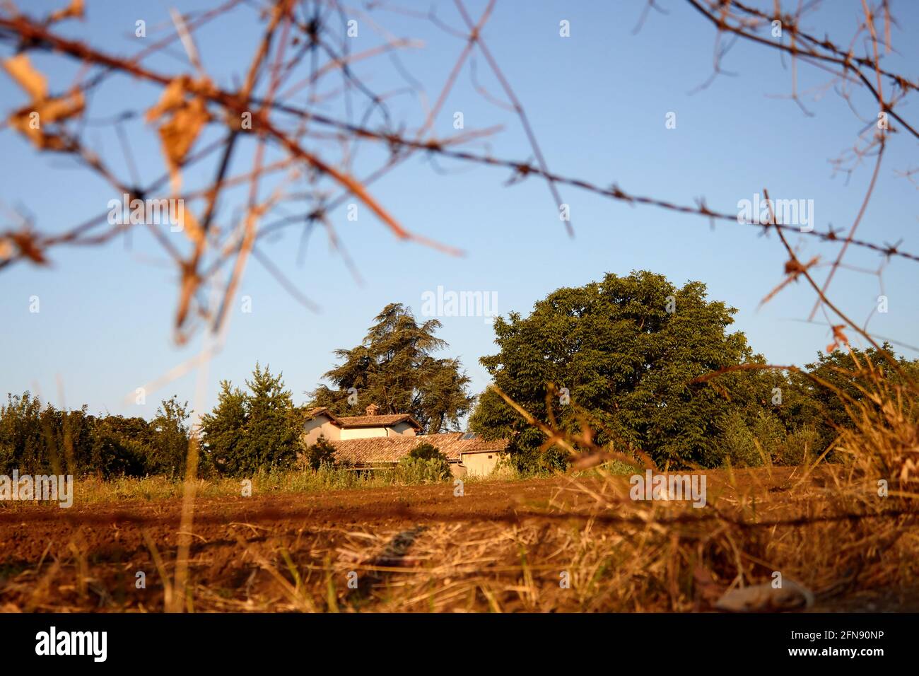Da qualche parte nella contea del Lazio, Italia Foto Stock