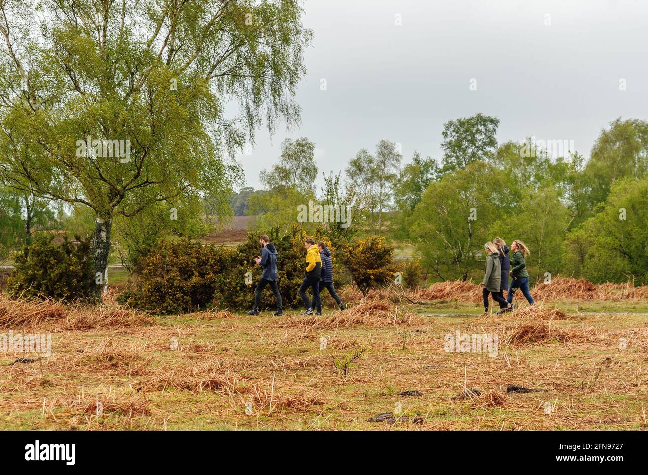 Rockford Common, Ibsley, Ringwood, New Forest, Hampshire, Regno Unito, 15 maggio 2021, Meteo: Docce a pioggia pesante. Downpoours torrenziali nel pomeriggio. Persone fuori camminare indossando impermeabile impermeabile impermeabile impermeabile impermeabile impermeabile impermeabile impermeabile. Credit: Paul Biggins/Alamy Live News Foto Stock