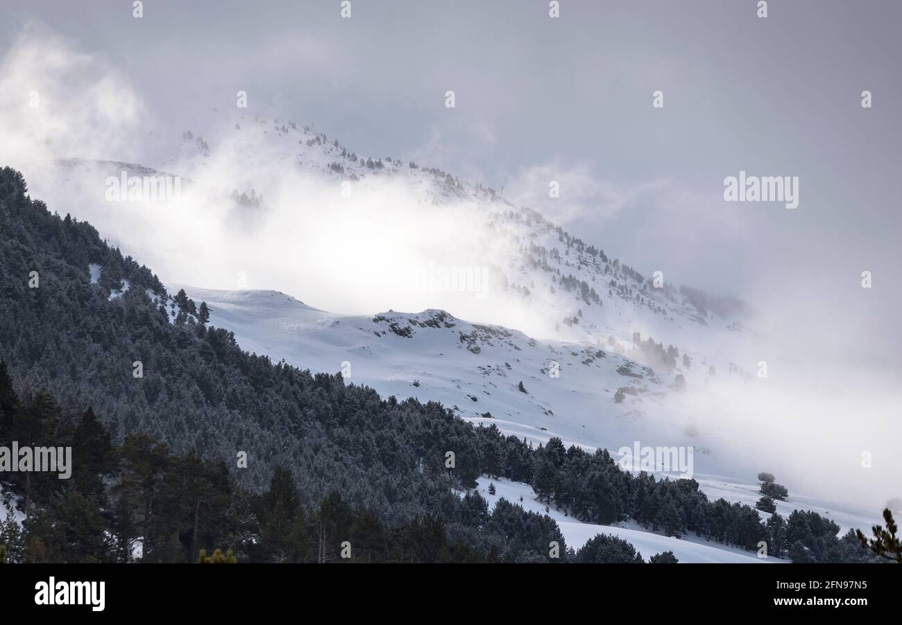 Percorso tra Montgarri e Pla de Beret in inverno con neve (Valle d'Aran, Catalogna, Spagna, Pirenei) ESP: Ruta entre Montgarri y el Plan de Beret Foto Stock