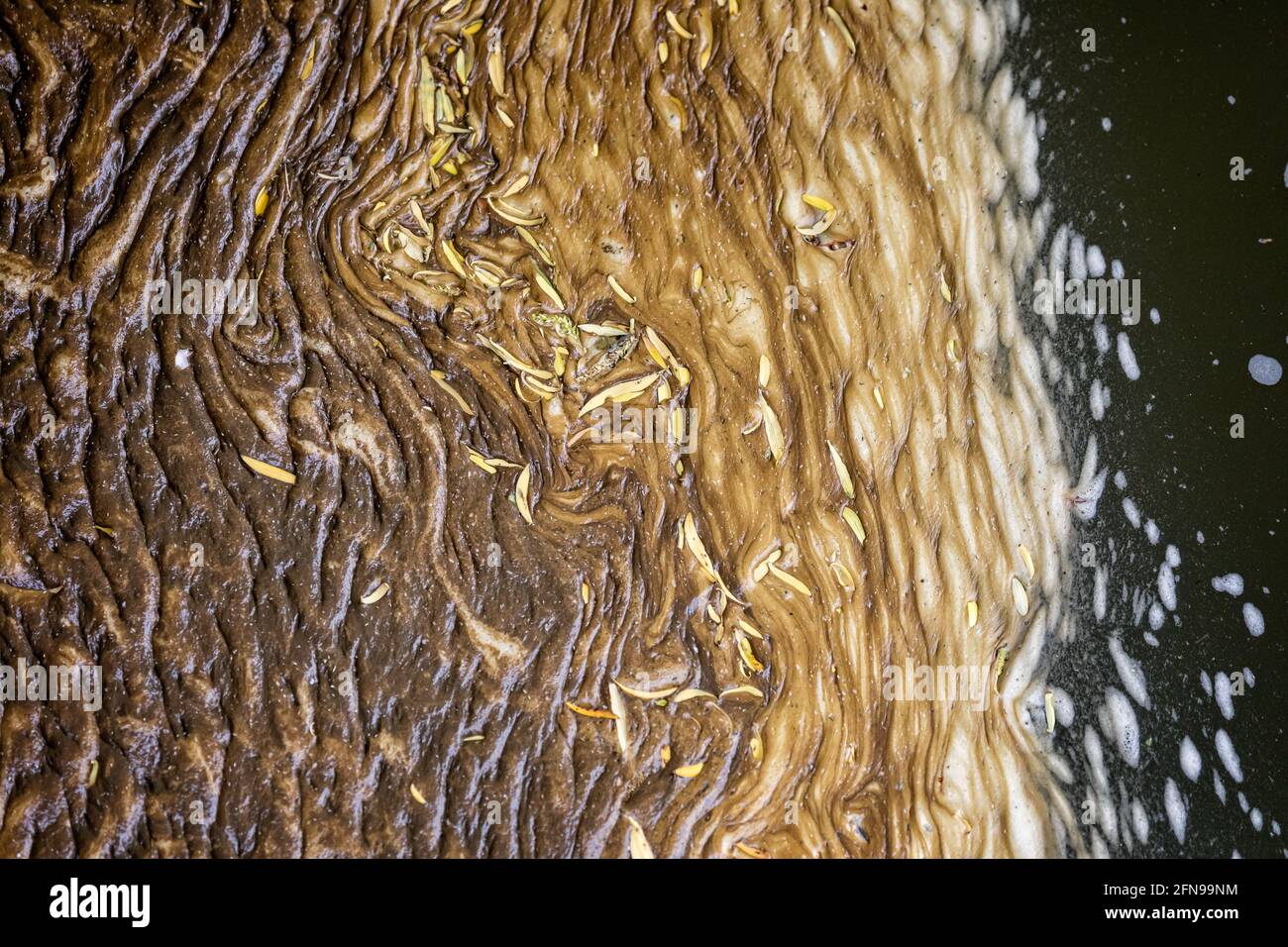 Primo piano di modelli di materiale organico e detriti catturati in fiume eddy Foto Stock