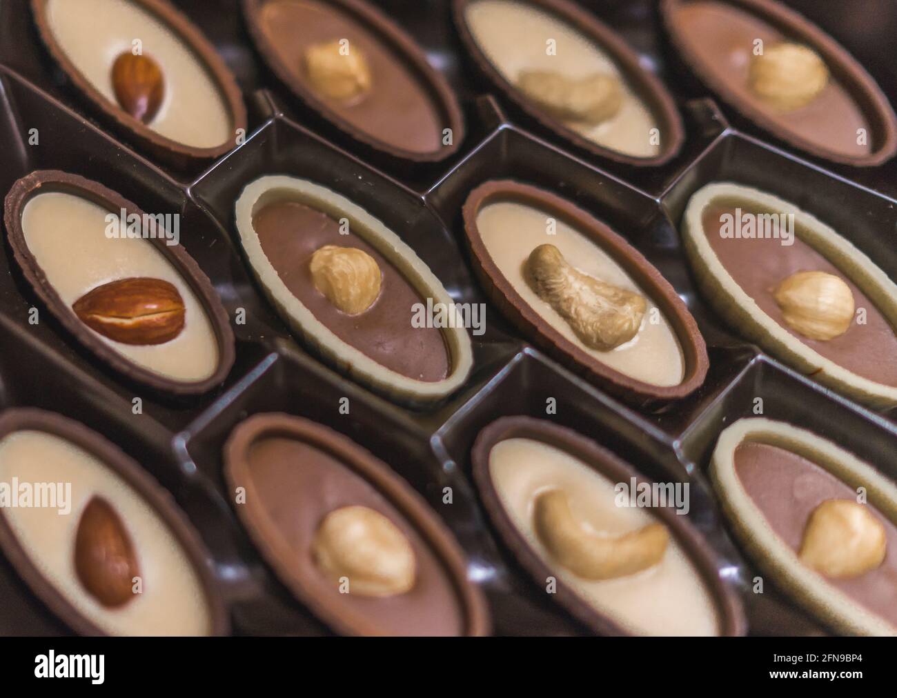 Caramelle al cioccolato in scatola, mandorla alla nocciola e noci di anacardi in caramelle al cioccolato, cioccolato vegano crudo. Deliziosa confezione regalo, dolce tentazione, una scatola di cioccolato Foto Stock