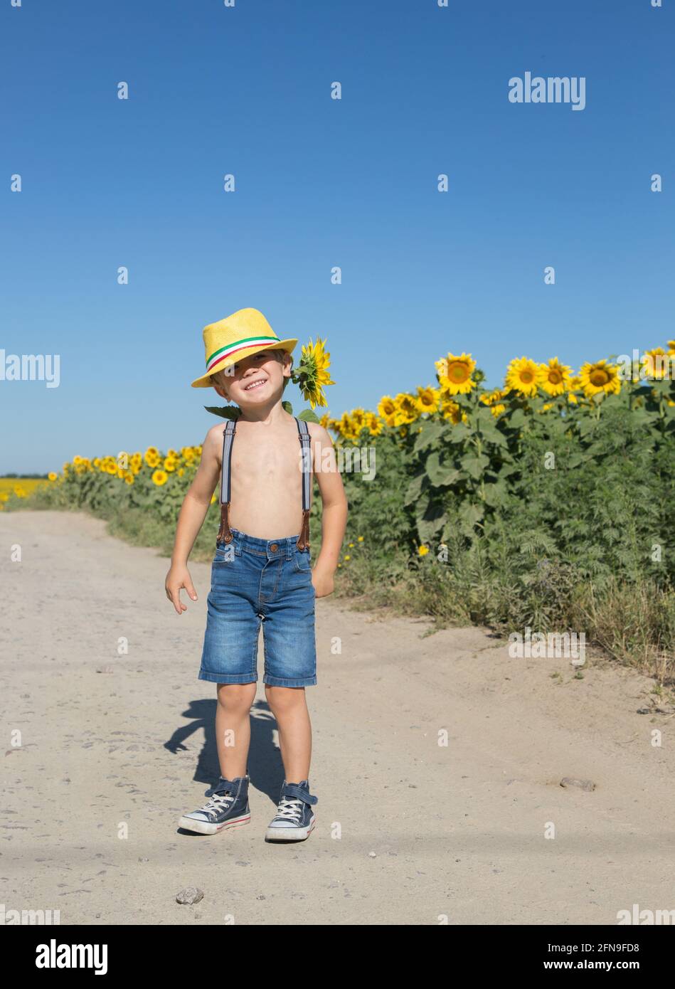 giornata estiva soleggiata su un campo di girasoli fioriti. Sullo sfondo dei fiori, un ragazzo divertente positivo di 4-5 anni in un cappello giallo e breve Foto Stock