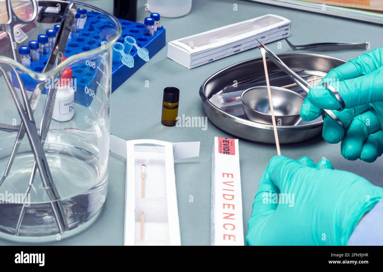 Taglio di poliziotti criminalistici specializzati con forbici per tamponi di sangue, analisi del DNA, immagine concettuale Foto Stock