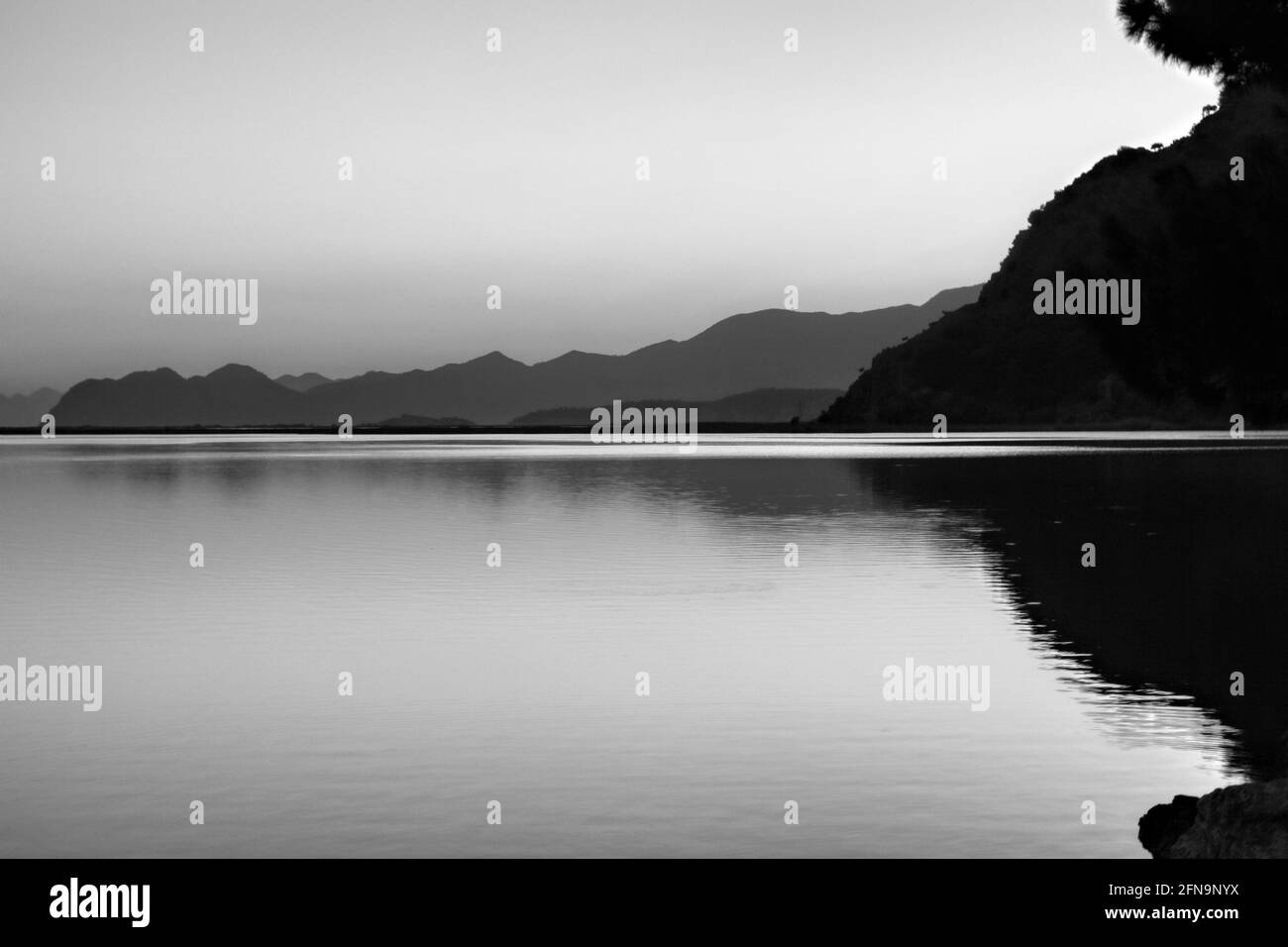 Copia di carbonio Dalyan, Turchia Foto Stock