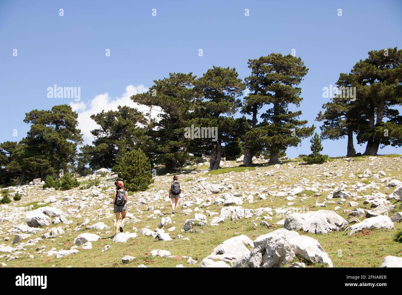 A San Severino Lucano - Italia - il 2020 agosto - Parco Nazionale del Pollino, ampia riserva naturale in Basilicata e Calabria, re Foto Stock