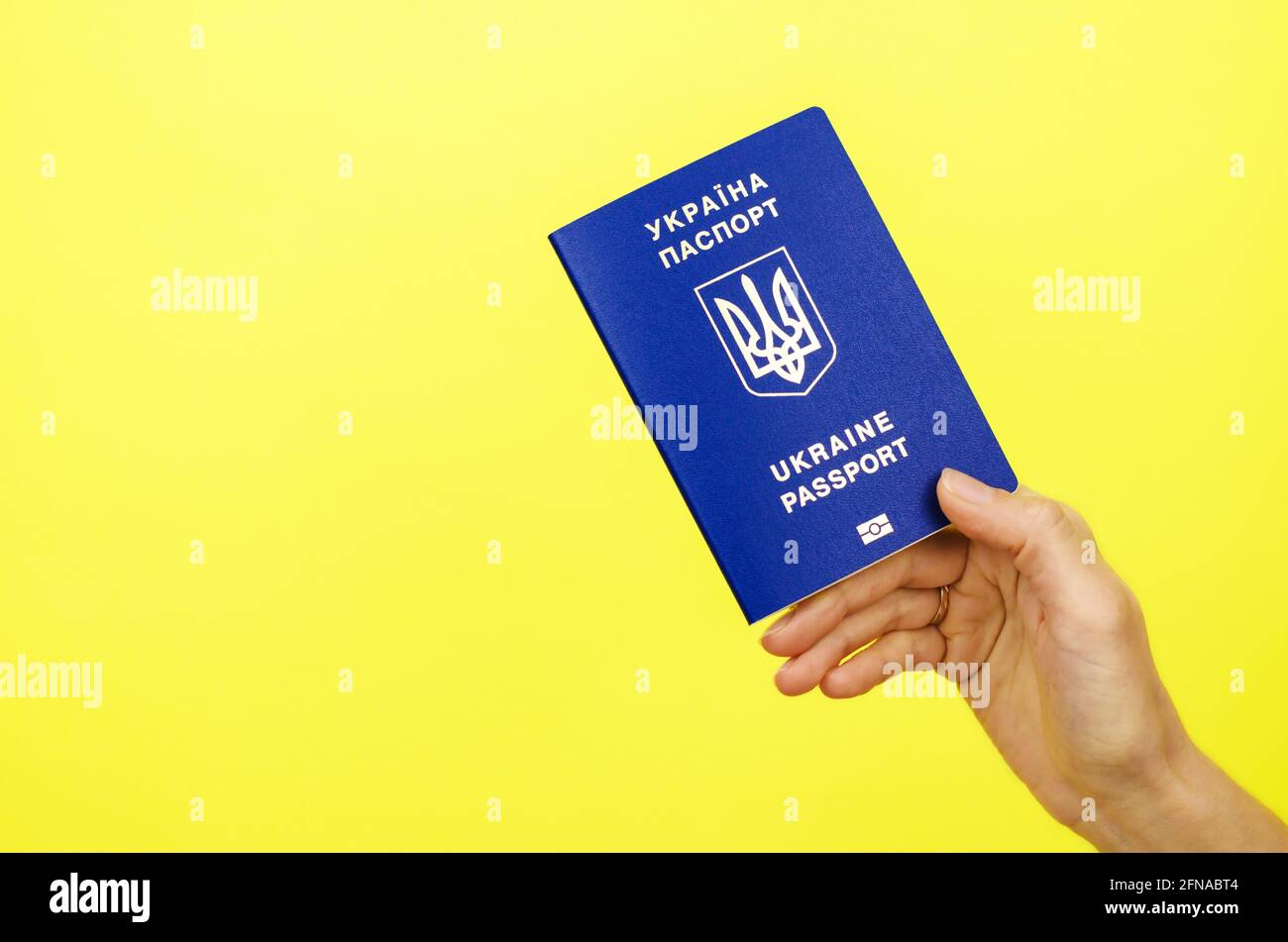Passaporto ucraino in mano su sfondo giallo Foto Stock
