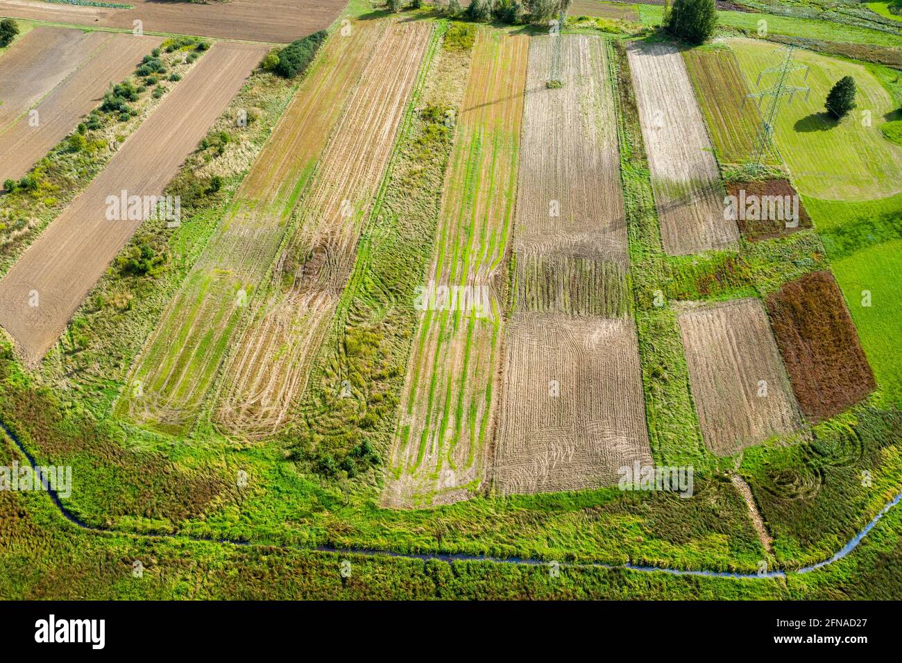 Campagna, campi agricoli vista aerea, primavera Foto Stock