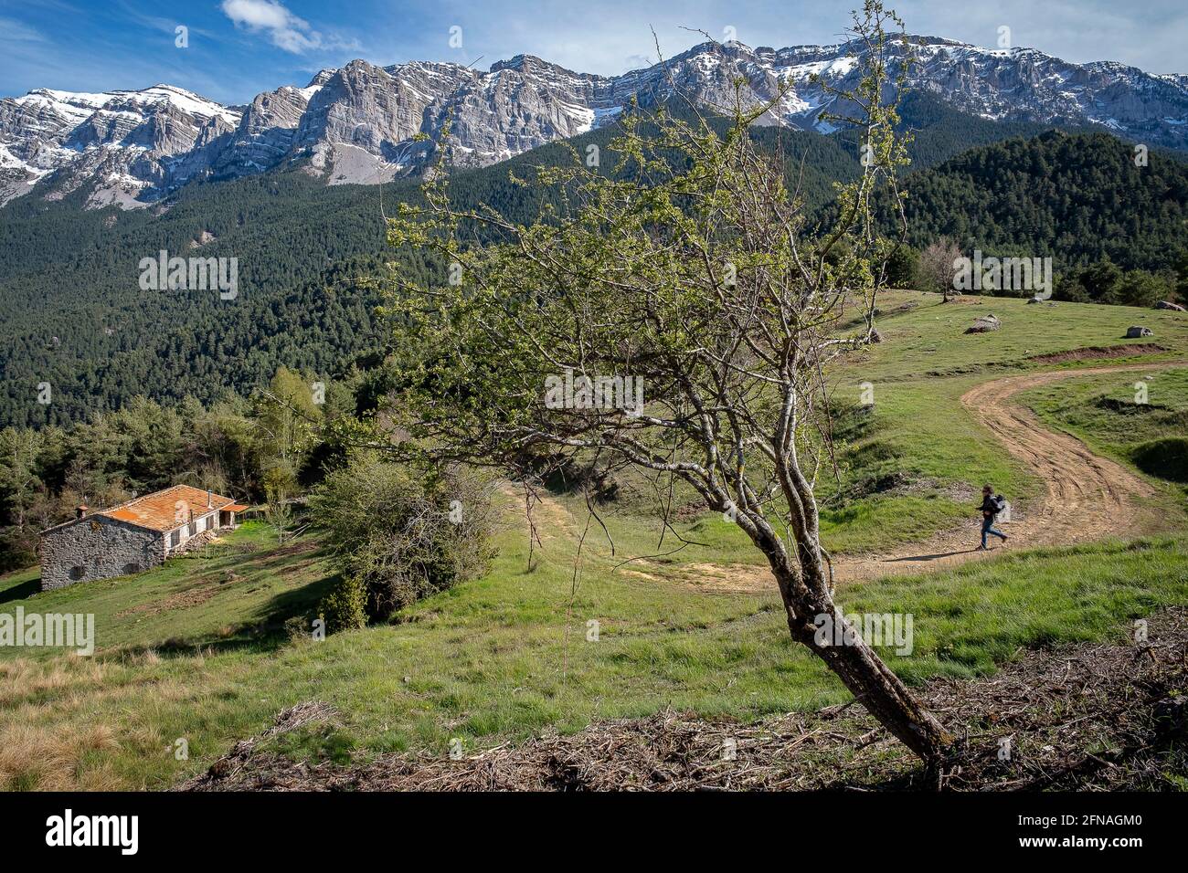 Paesaggio della catena montuosa della Serra del Cadi, Parco Naturale  Cadí-Moixeró, Catalogna, Spagna Foto stock - Alamy