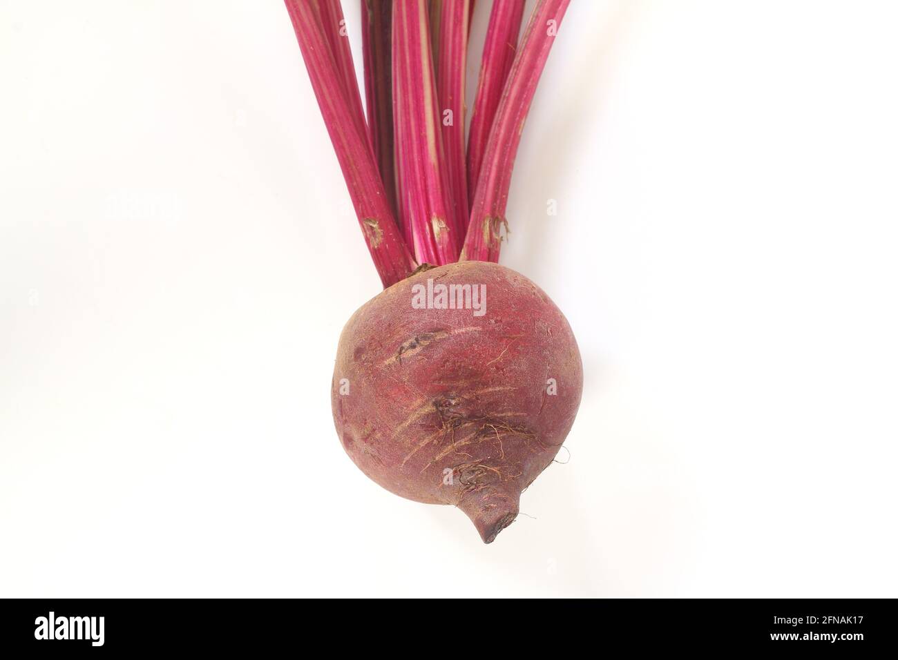 Radice di barbabietola rossa con foglie isolate su sfondo bianco. Concetto di cibo sano. Foto Stock