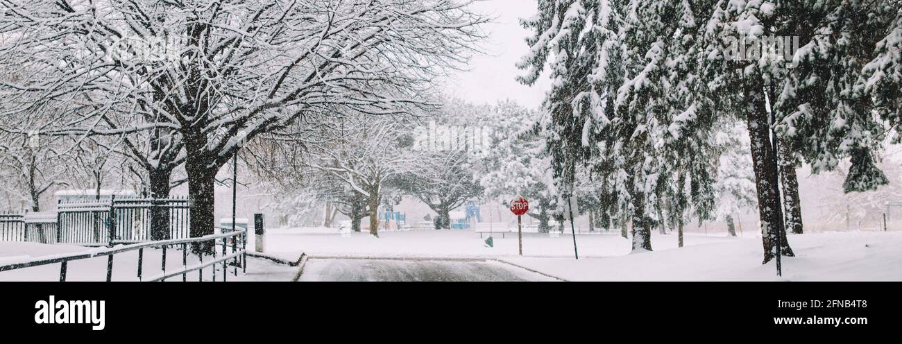 Paesaggio invernale. Nevicate pesanti e tempeste di neve a Toronto, Ontario, Canada. Neve frizzante. Maltempo condizioni invernali. Scarsa visibilità, stagionale Foto Stock