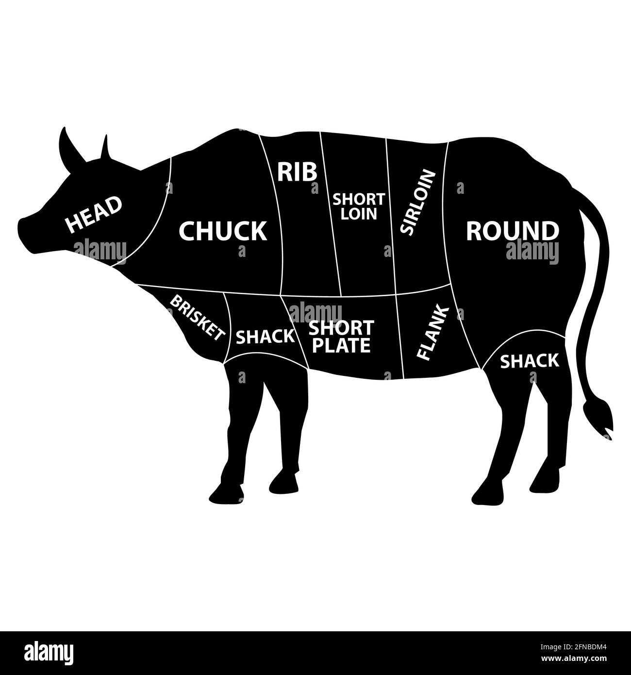 schema di carne mucca su fondo bianco. taglio di manzo set. silhouette di vacca con grafico tagli di manzo. stile piatto. Foto Stock