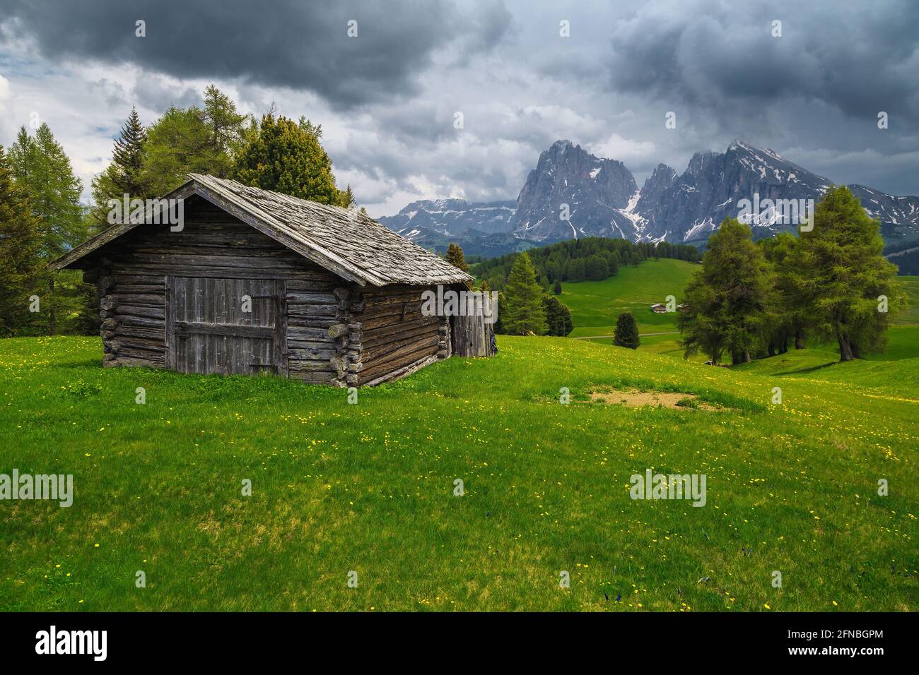 Idilliaco fienile di legno sui campi verdi fioriti alpini. Cielo nuvoloso e bellissime montagne innevate sullo sfondo, Alpe di Siusi, Dolomiti, Italia, Europaone Foto Stock