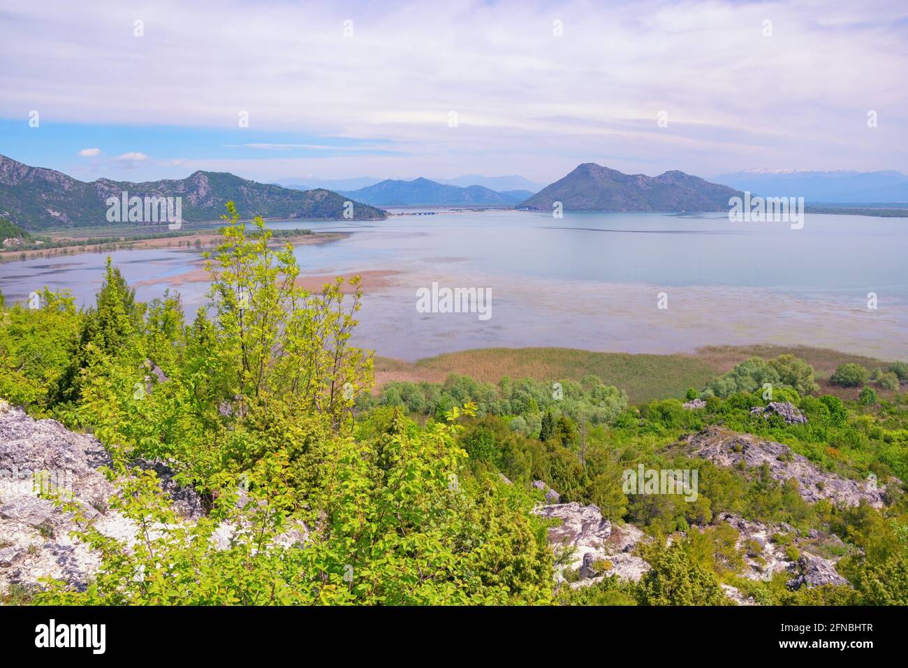 Vista della costa del lago Skadar in primavera. Parco Nazionale Lago Skadar, Montenegro Foto Stock