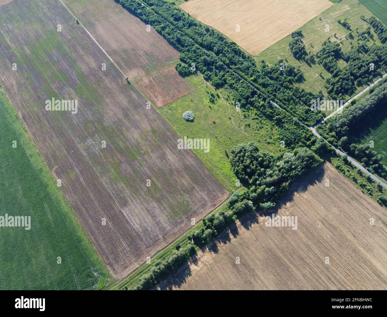 Crocevia di due strade tra campi agricoli, vista aerea. Paesaggio agrario, vista dall'alto. Foto Stock