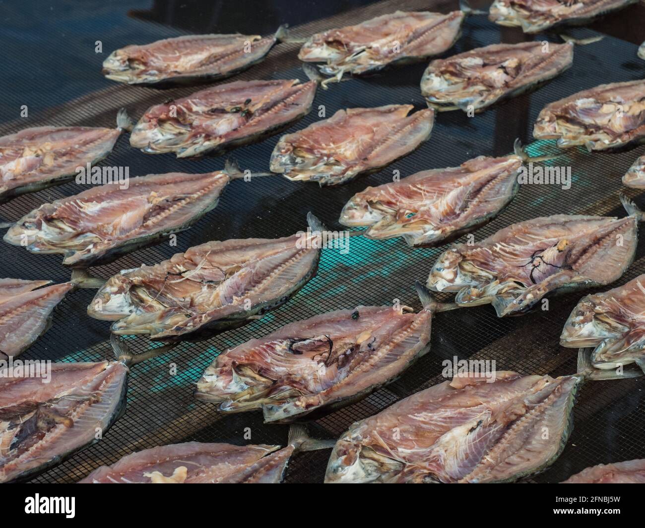 Il pesce asciuga su reti appositamente preparate al Mare Seram a Kaimana,  pesca. 'Aktivitas menjemur ikan'. Kaimana, Bird'S Head Peninsula, Papua  Occidentale Foto stock - Alamy